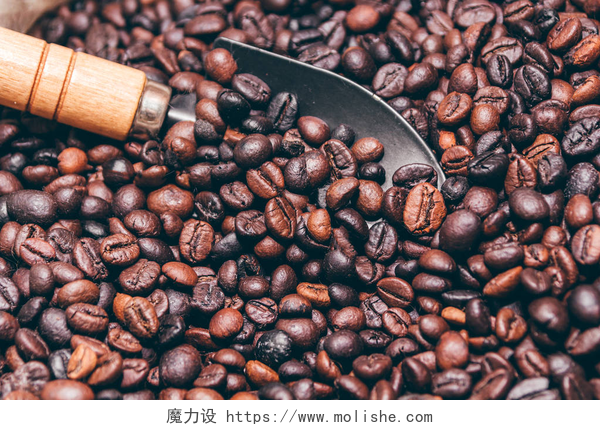 用铲子铲的咖啡豆背景上的咖啡豆